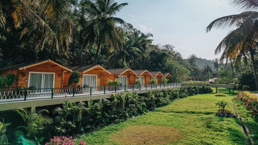 Scenic view of wooden cottages lined up with lush greenery and palm trees in the background. | Stone Wood Jungle Resort, Dandeli