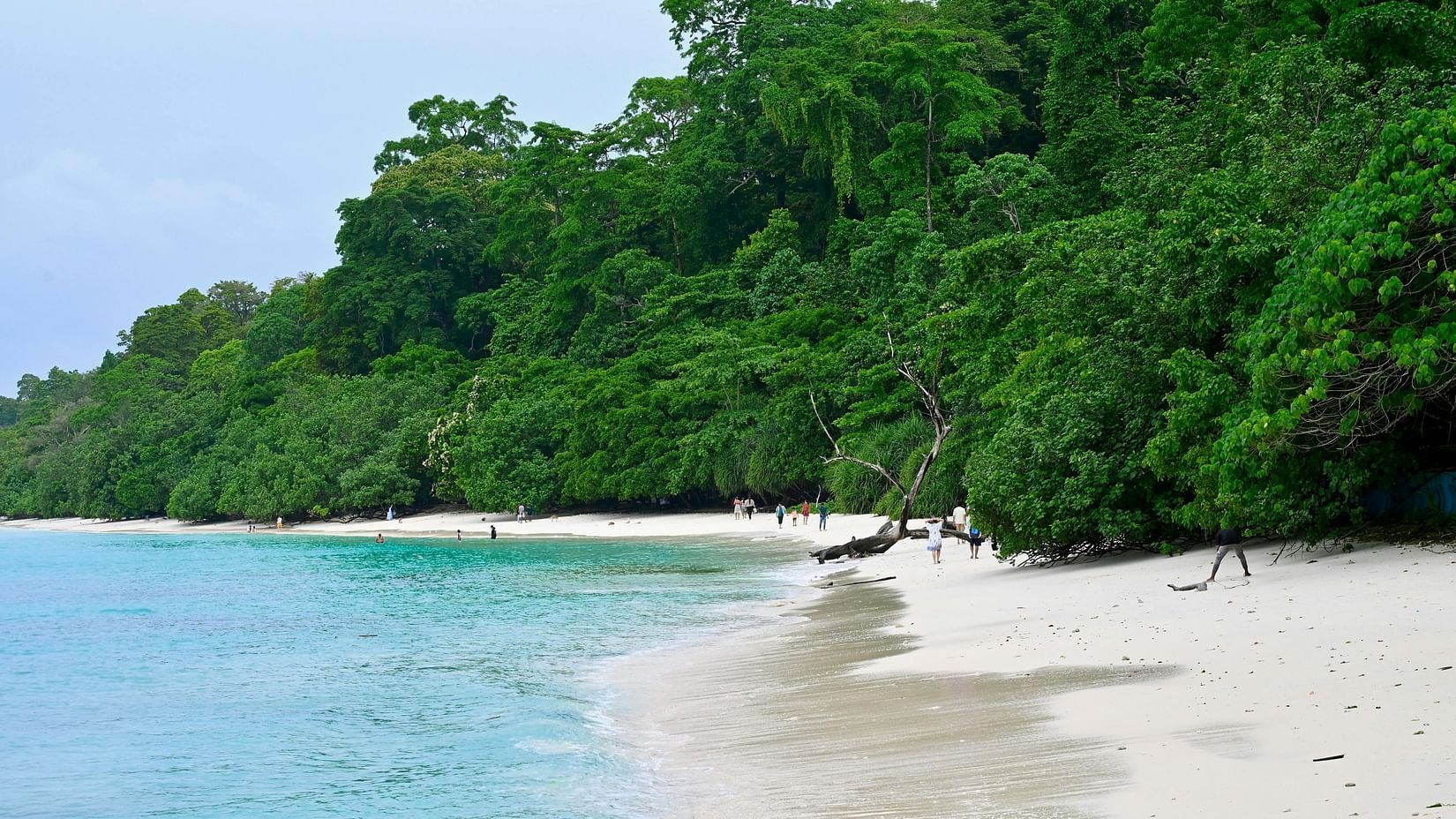 Secluded beach with lush greenery and clear turquoise water.