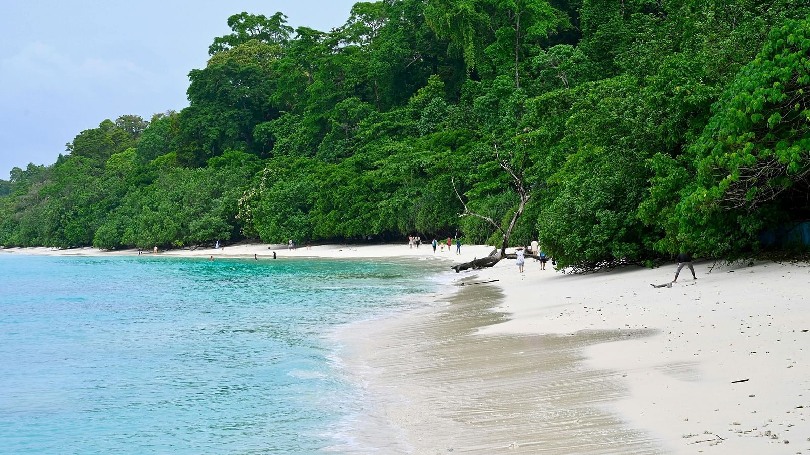 Pristine beach with clear turquoise waters and lush green trees lining the shore.