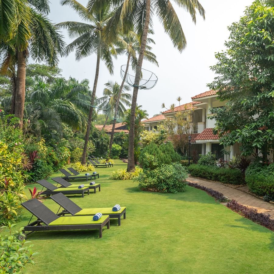 A spacious Eden Gardens with deck chairs arranged in the garden and large trees surrounding the building