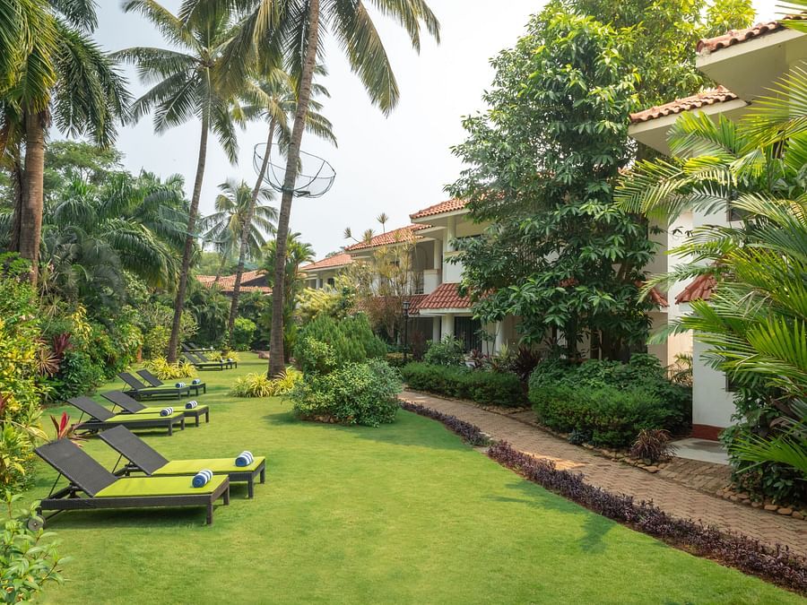 A spacious Eden Gardens with deck chairs arranged in the garden and large trees surrounding the building