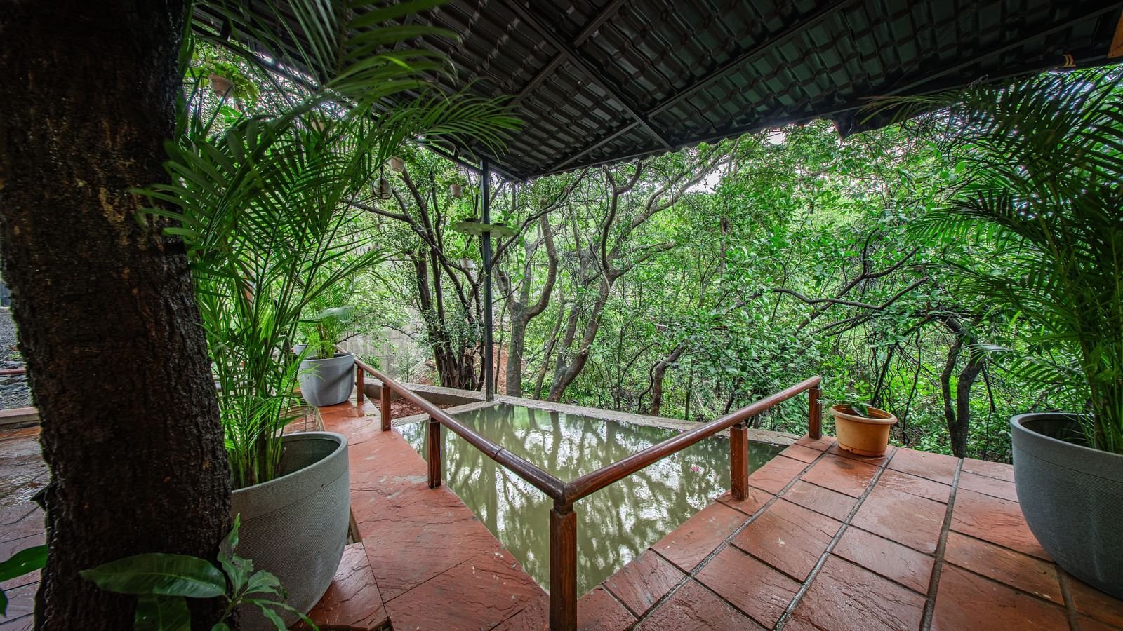A covered outdoor patio with a tiled floor and wooden railings, overlooking a thick, lush green forest - Tranquil Piedmont Estates & Resort