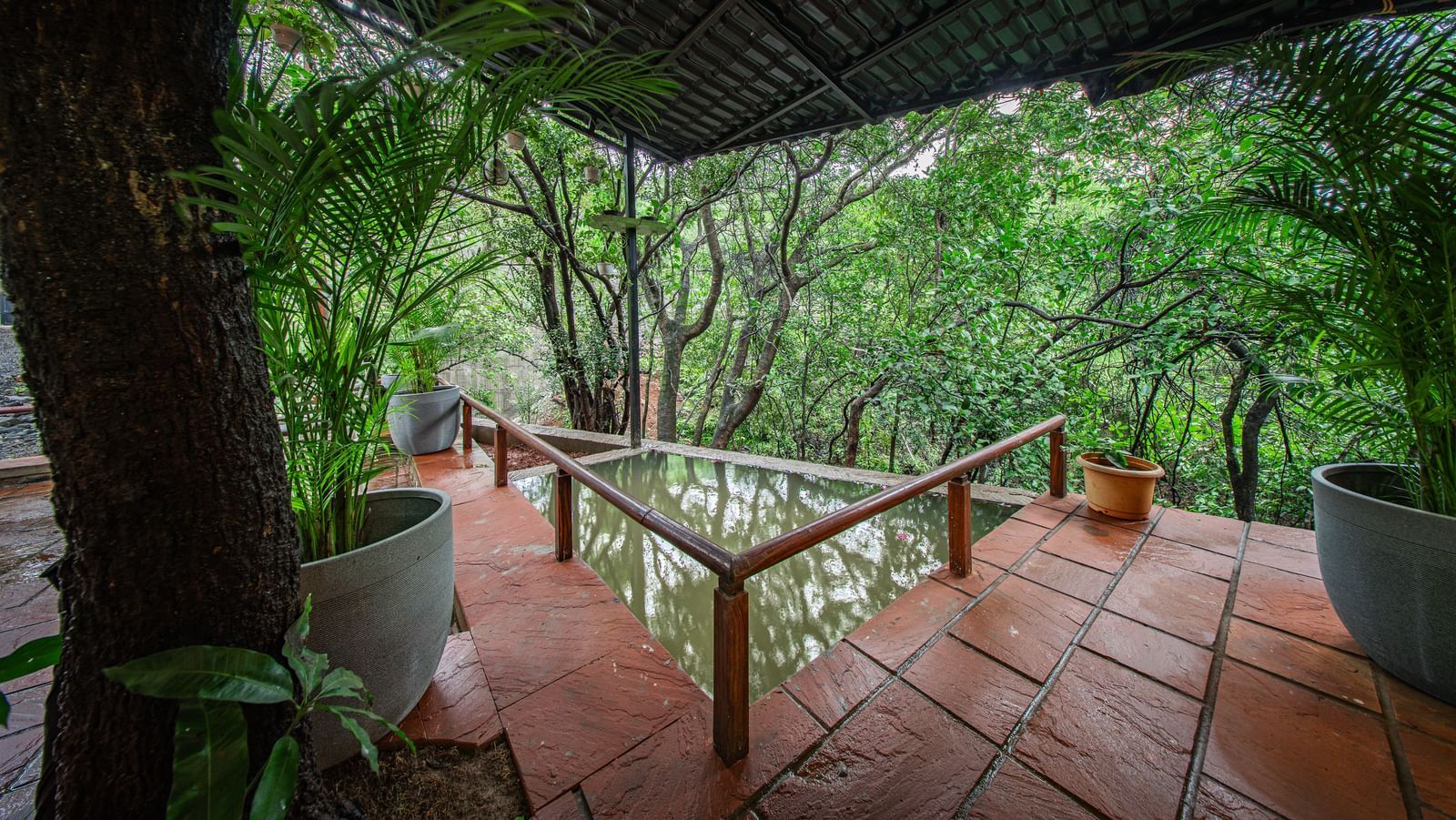A covered outdoor patio with a tiled floor and wooden railings, overlooking a thick, lush green forest - Tranquil Piedmont Estates & Resort