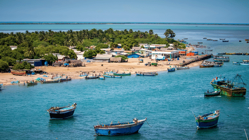 A bright, sunny view of several small blue wooden fishing boats anchored in a clear turquoise bay next to a lush green coastline with small buildings.