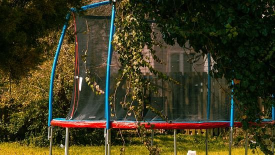 A trampoline covered by greenery on all sides