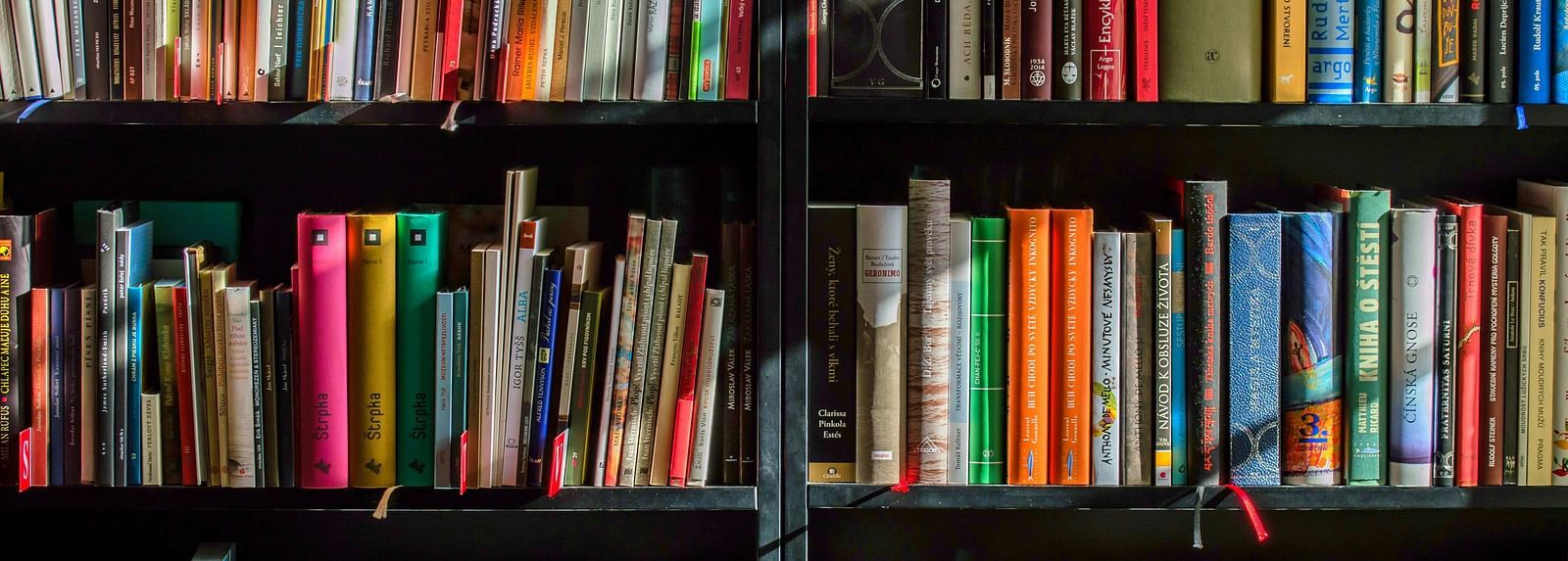 A bookshelf filled with books of various colours with sunlight coming from outside over them.