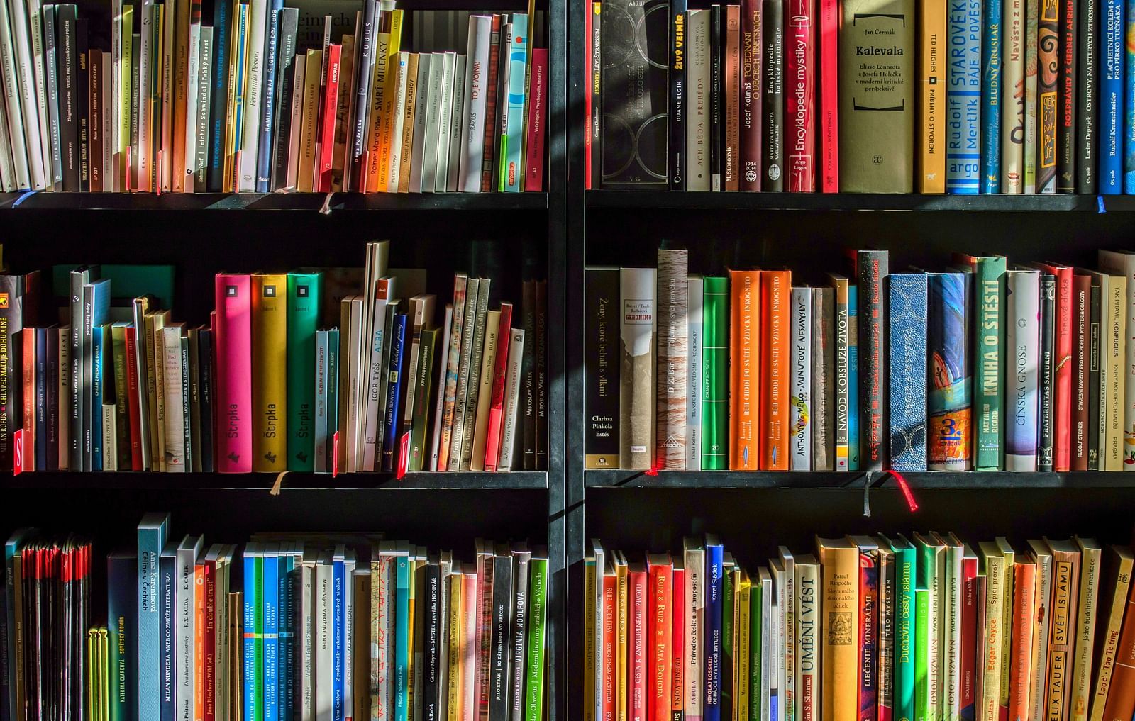 A group of books neatly arranged in shelves.