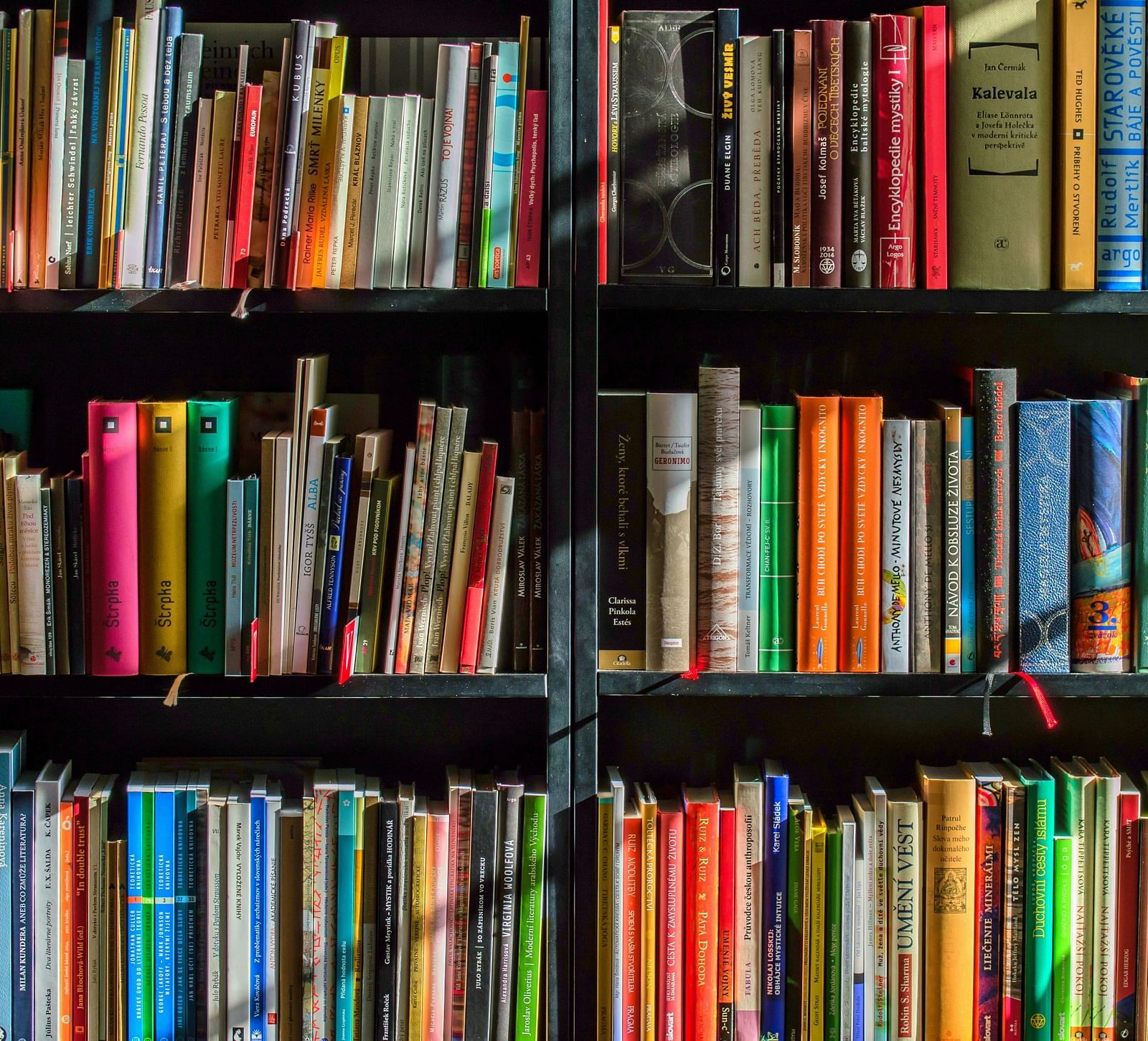 A lot of books placed in a book shelf