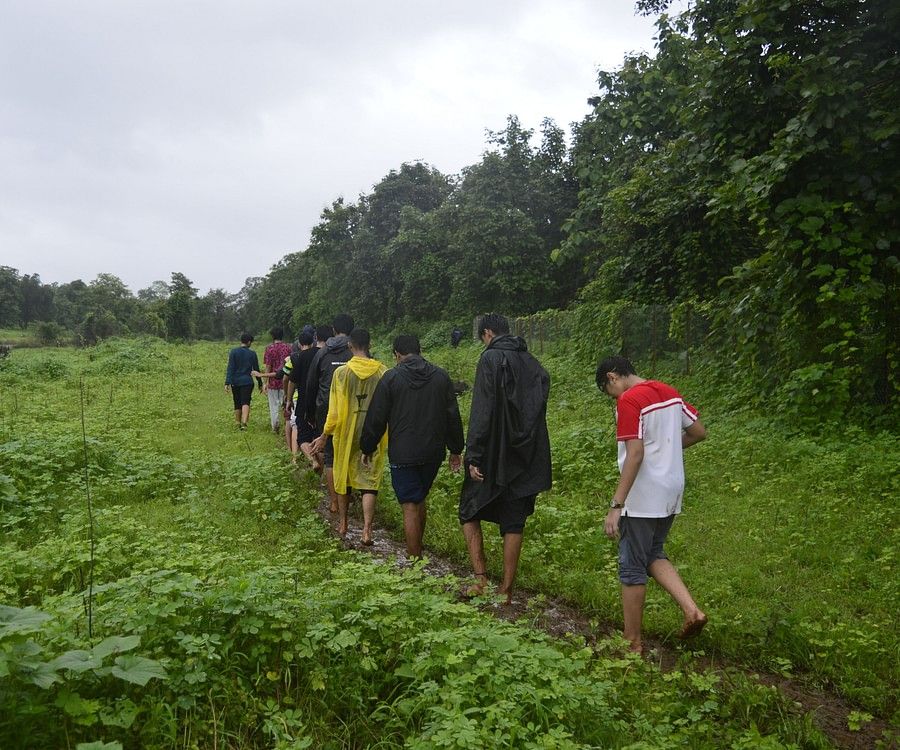 alt-text A group of people trekking while wearing raincoats on a grassland near a forest