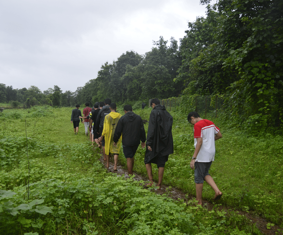 A group of people trekking while wearing raincoats on a grassland near a forest.