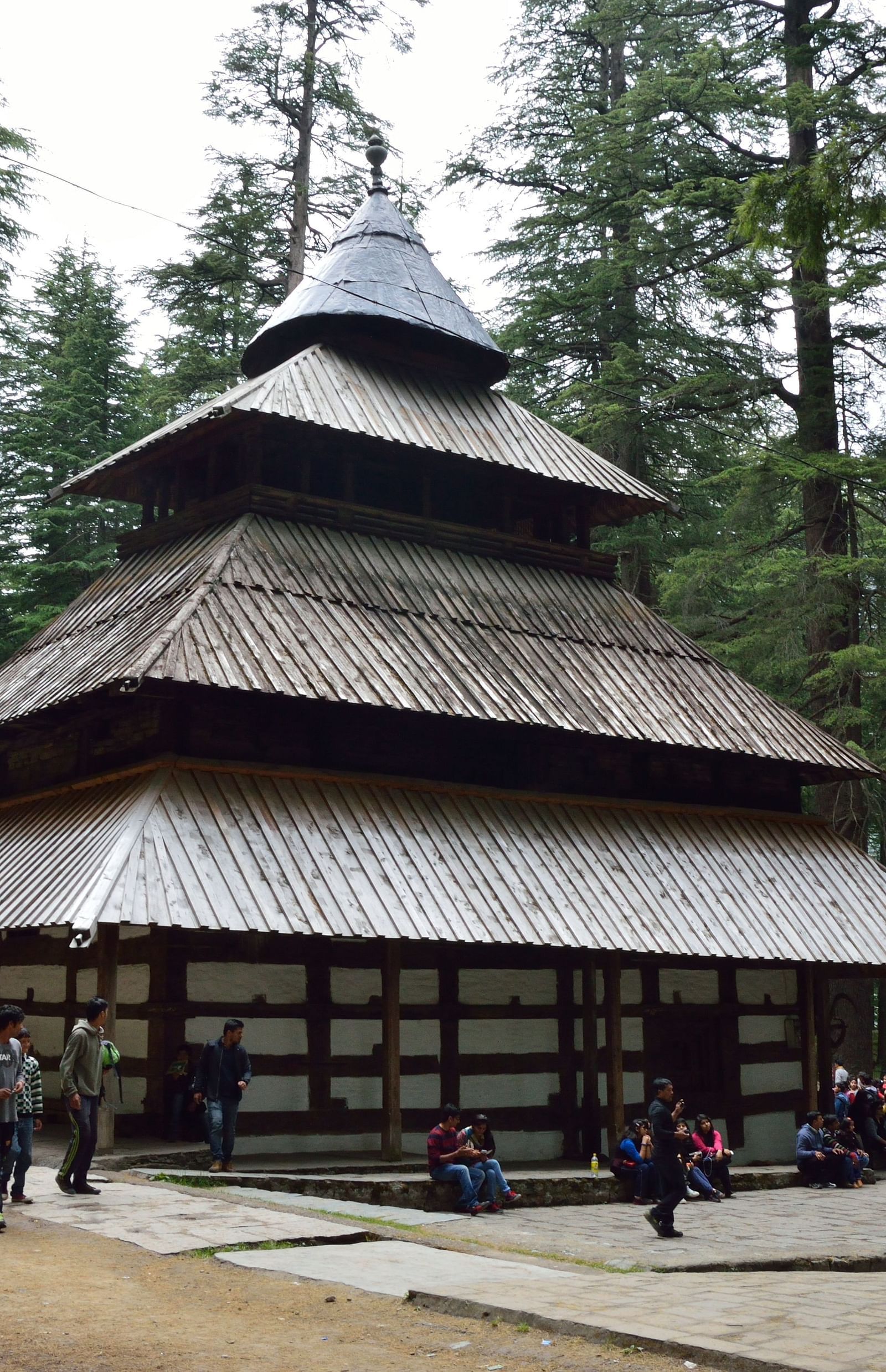 Image of Hidimba Devi Temple surrounded by pine trees