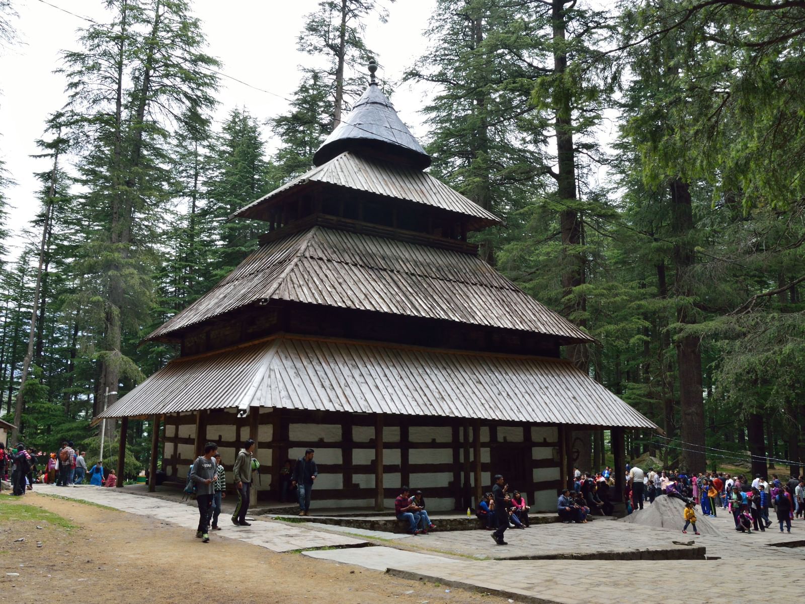Image of Hidimba Devi Temple surrounded by pine trees