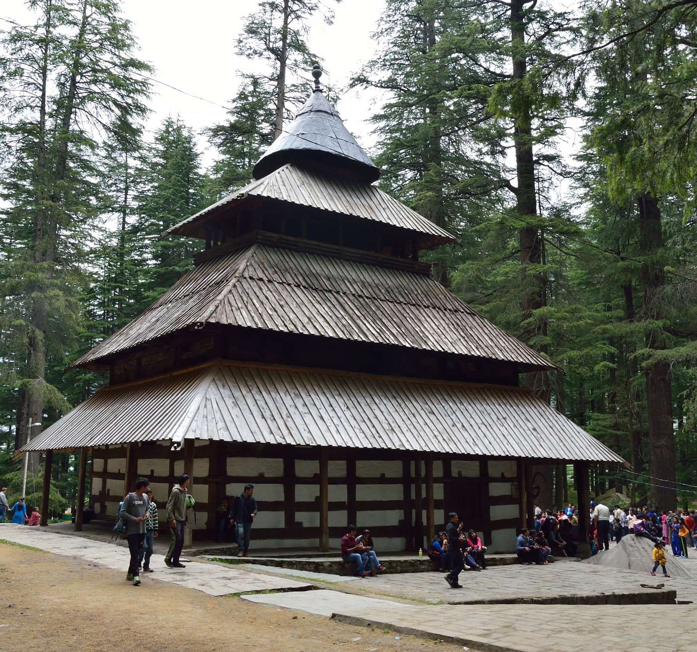 Image of Hidimba Devi Temple surrounded by pine trees