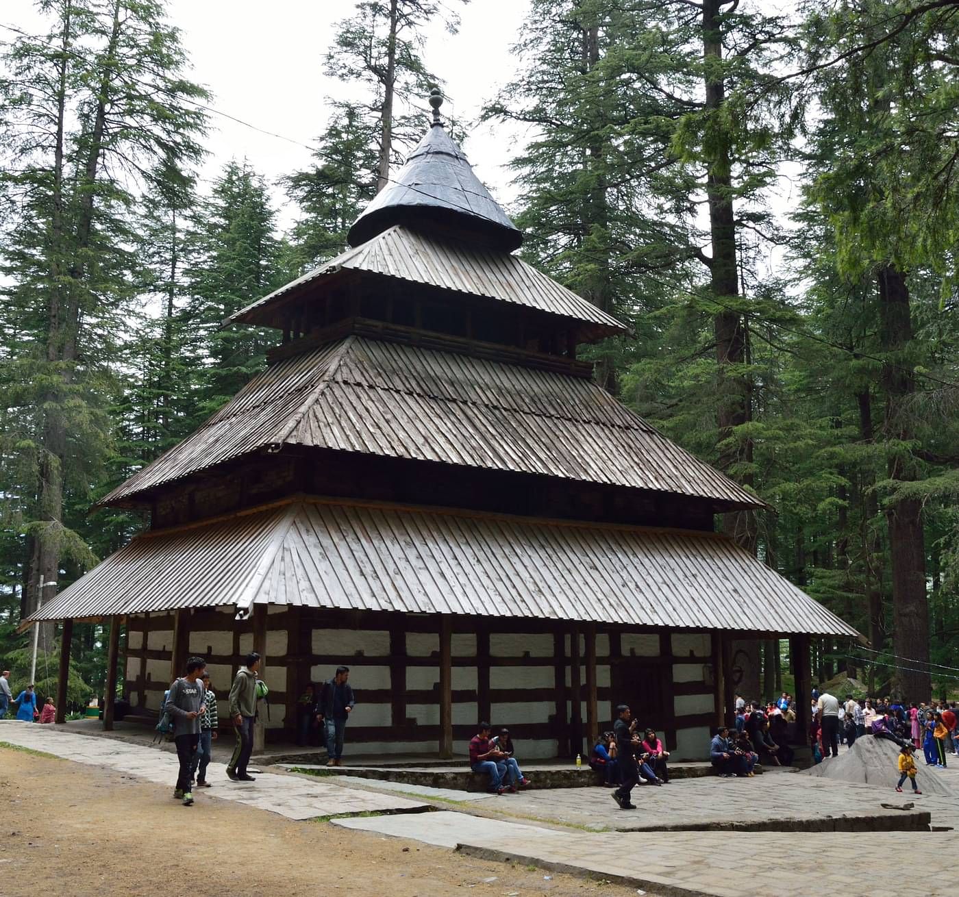 Image of Hidimba Devi Temple surrounded by pine trees