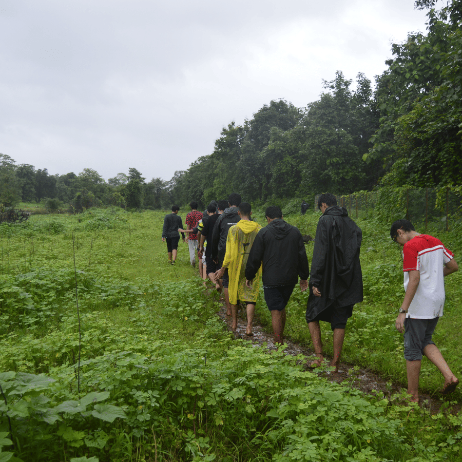 A group of people trekking while wearing raincoats on a grassland near a forest.