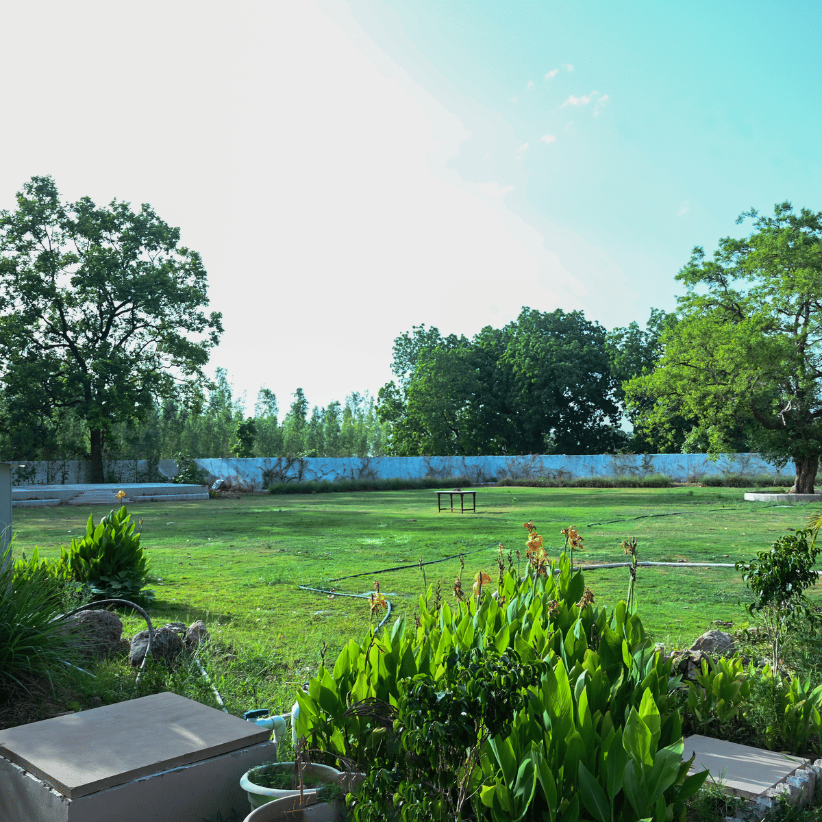 The open lawn and grounds at Signum Resort, Bandhavgarh