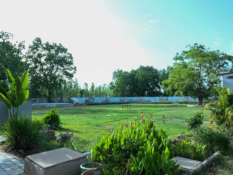 The open lawn and grounds at Signum Resort, Bandhavgarh