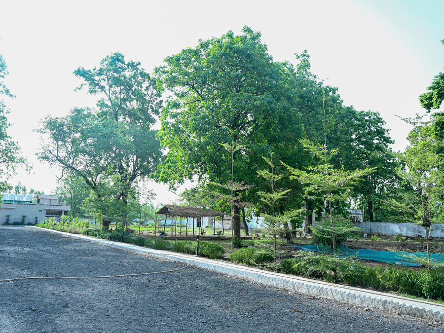 Lawns and gardens in the grounds at Signum Resort, Bandhavgarh