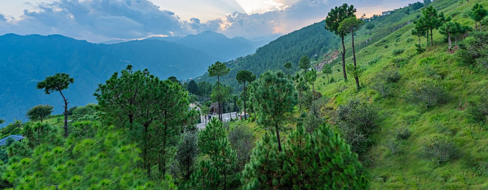 A serene view of Auramah Valley covered in lush greenery - The Manor Luxury Hotel, Shimla