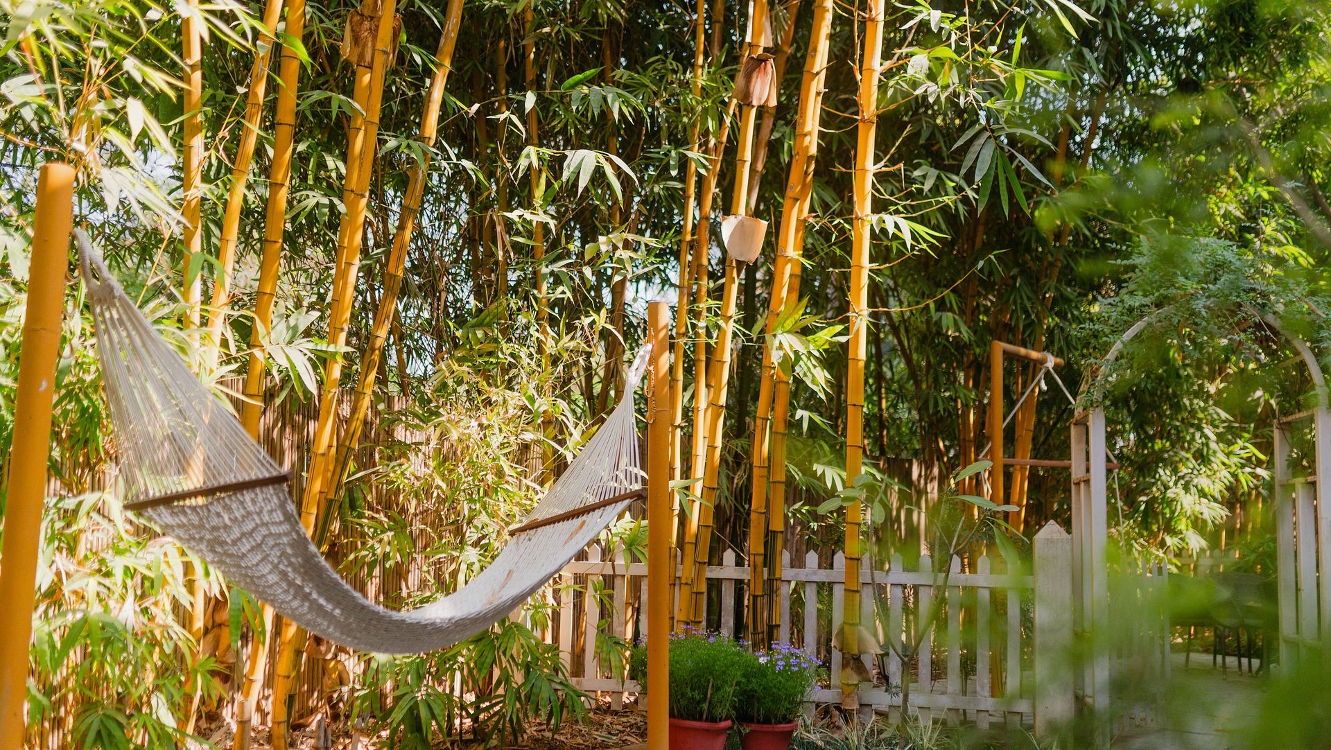 An outdoor hammock between bamboo plants at Karma Chalets with a wooden fence in the background.