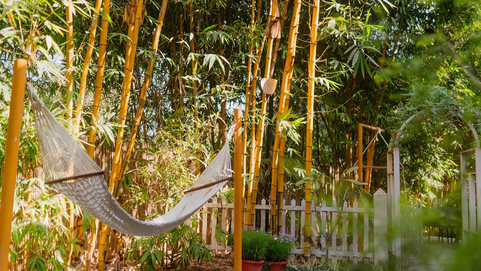 An outdoor hammock between bamboo plants at Karma Chalets with a wooden fence in the background.
