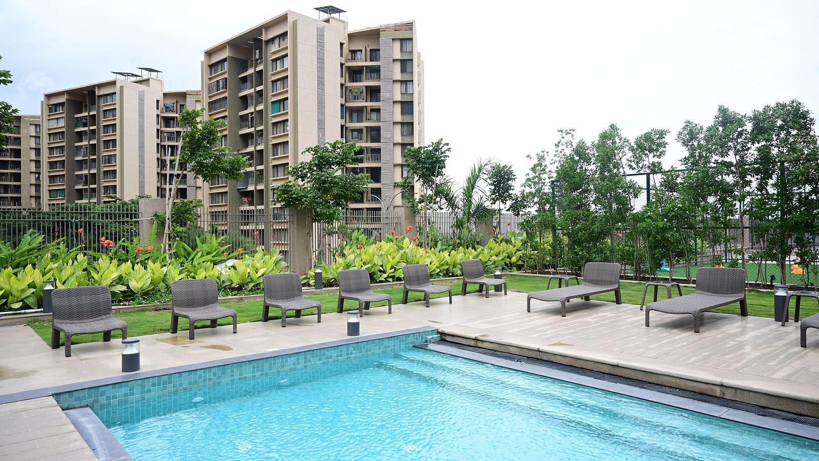 image of the swimming pool taken from a higher level at club charholi, pune