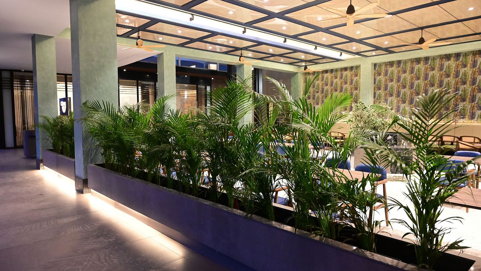 outdoor pathway separated with Citrus restaurant and cafe by green plants in the middle 