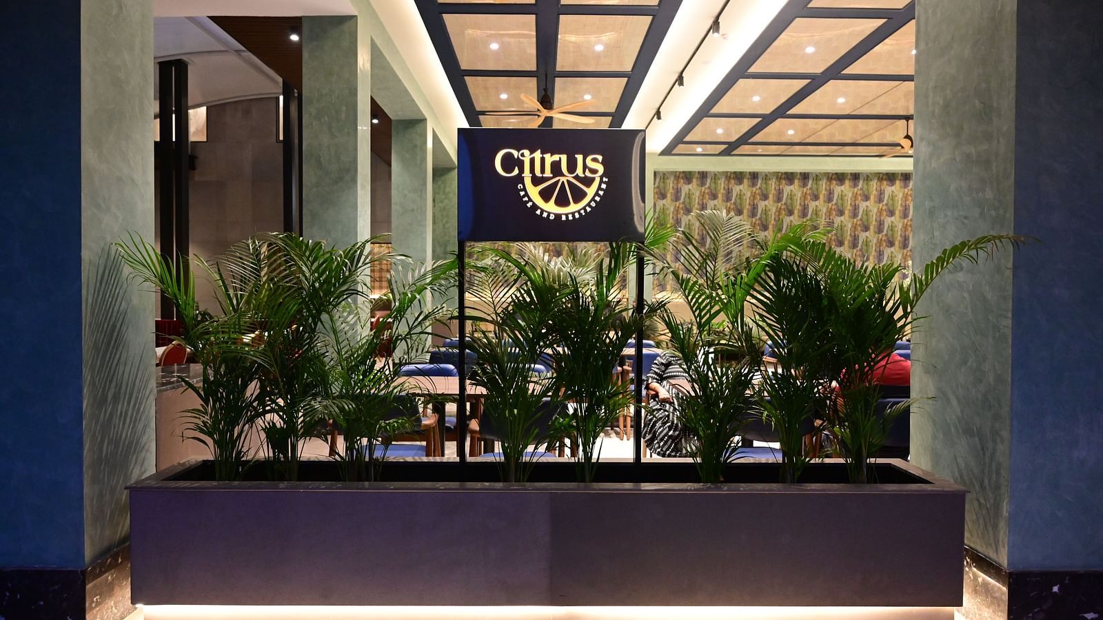 image of the citrus restaurant and cafe signage taken in the late evening surrounded with plants