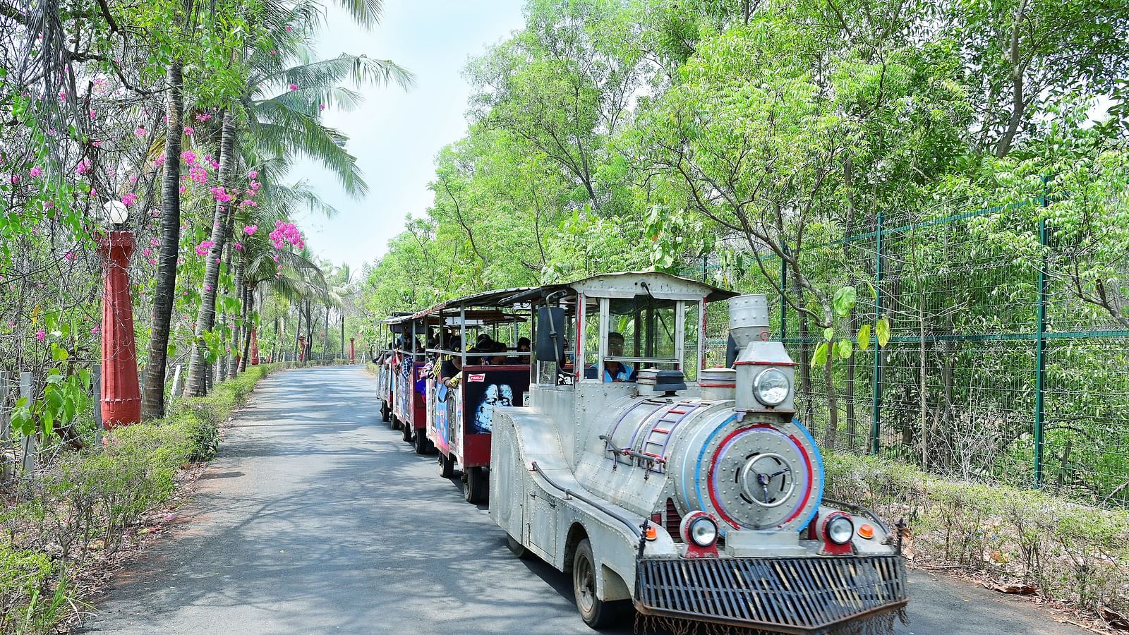 A small train with passengers travels down a paved path lined with tall, green trees.
