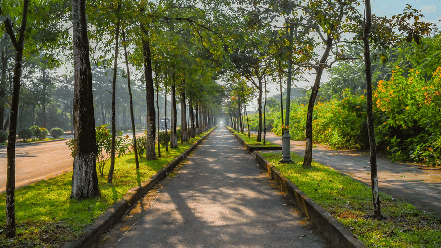 pexels-nguyen-ngoc-tien-1321490019-35008269