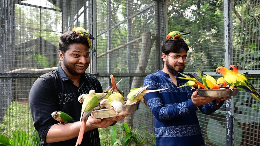 Two men holding birds in their hands.