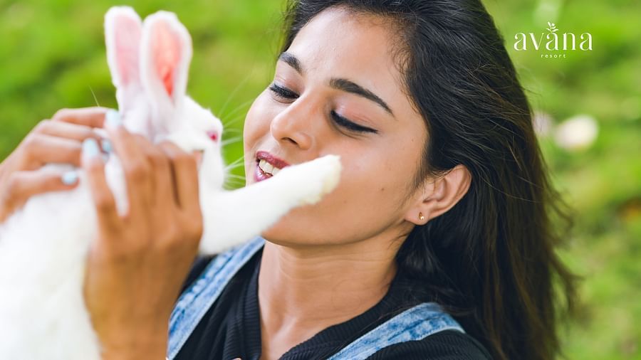 A person holding and petting a white rabbit.