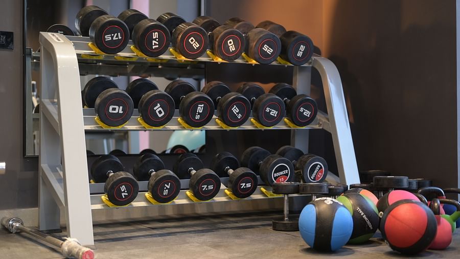 A rack filled with dumbbells of varying weights and a few medicine balls on the floor in front of it. - Clarks Safari Haridwar