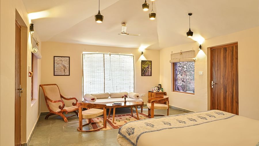 Well-lit, contemporary guest room with cozy seating area at Clarks Safari, Jawai