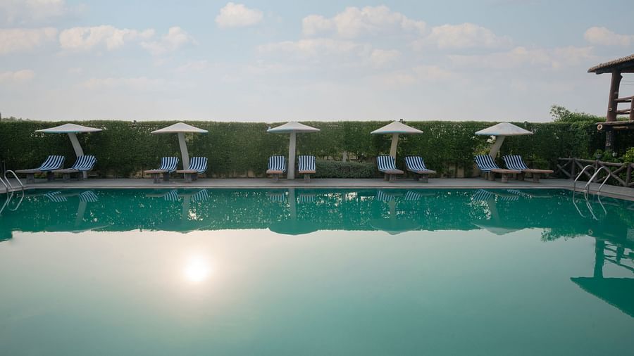A wide view of Clarks Safari Kheda's pool area, showing the water, a line of covered lounge chairs, and distant greenery under a vast sky.