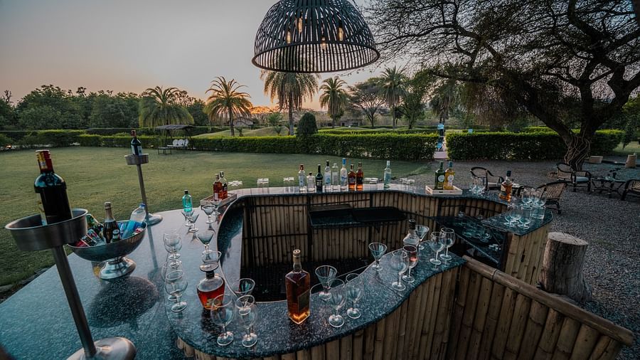 Outdoor bar area with stools around a curved counter. Bottles and glasses are visible. Trees and a blurred background suggest a garden setting - Clarks Safari, Pushkar