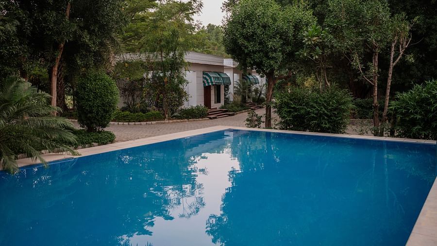 Wide shot of a sparkling blue swimming pool bordered by paving stones, green lawns, and trees, with a glimpse of a white building - Clarks Safari, Ranthambore