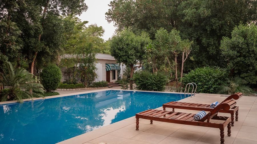 Two wooden lounge chairs sit beside a bright blue swimming pool, with a white building and trees in the background under daylight - Clarks Safari, Ranthambore