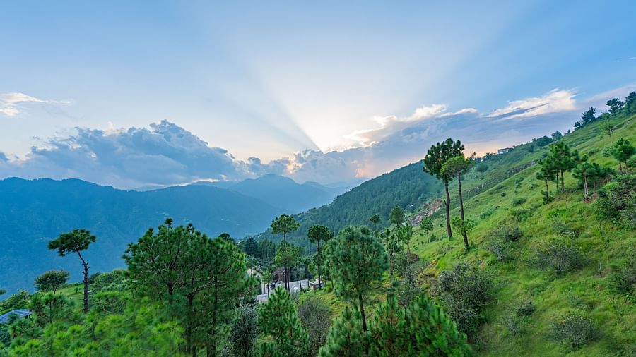 Early morning sunbeams breaking through the clouds over a pine-dotted hillside near The Manor Sports & Wellness Hotel, offering tranquil Himalayan scenery.