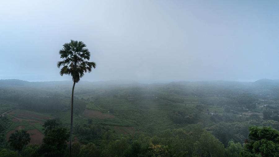 Escape the Heat: 5 Reasons Sakleshpur Feels Cooler Than Bangalore 