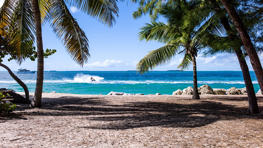 view of a beach 4