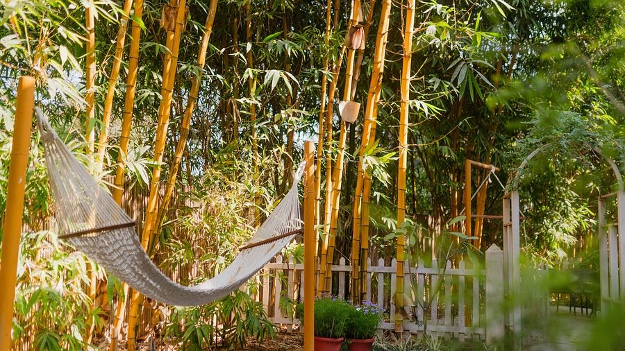 An outdoor hammock between bamboo plants at Karma Chalets with a wooden fence in the background.