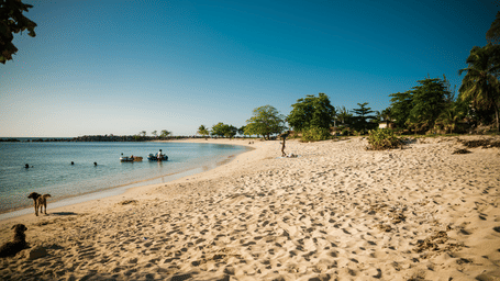 A single palm tree stands on a bright white sand beach, overlooking the vivid turquoise sea and a bright blue sky.