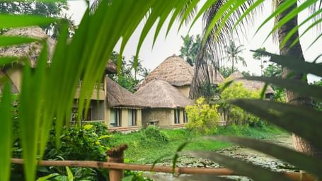 Row of Earth Villas at Vedic Village Spa Resort with mud walls and thatched roofs, facing a water body and enclosed by tall trees and thick foliage.