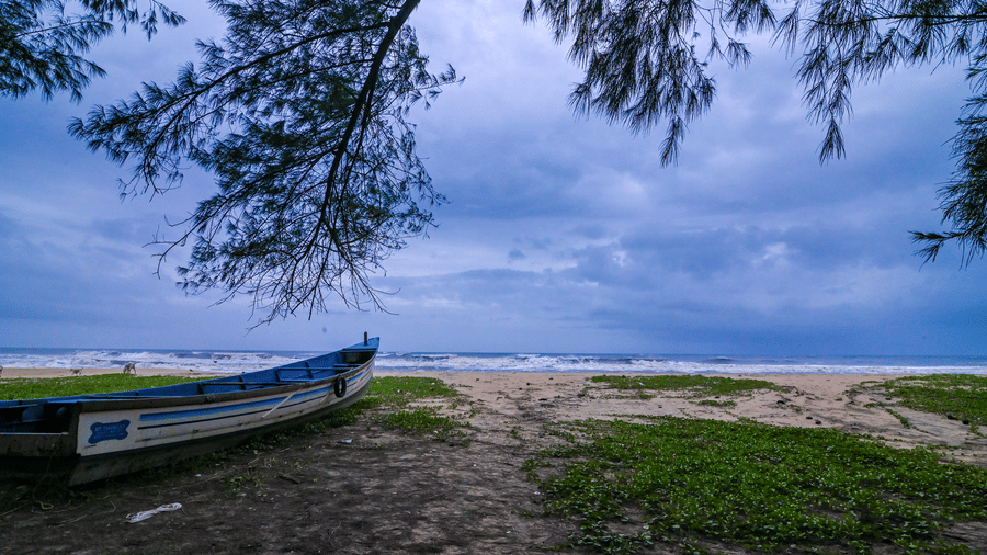 A blue and white wooden fishing boat sits on a sandy beach, with dark tree branches overhead and a dramatic, cloudy grey and blue sky above the ocean.