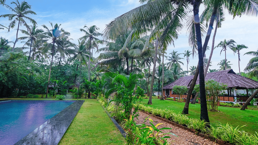A tropical resort scene featuring a swimming pool bordered by dark tiling and bright green lawn, with palm trees and a thatched-roof building.