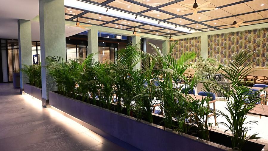outdoor pathway separated with Citrus restaurant and cafe by green plants in the middle 
