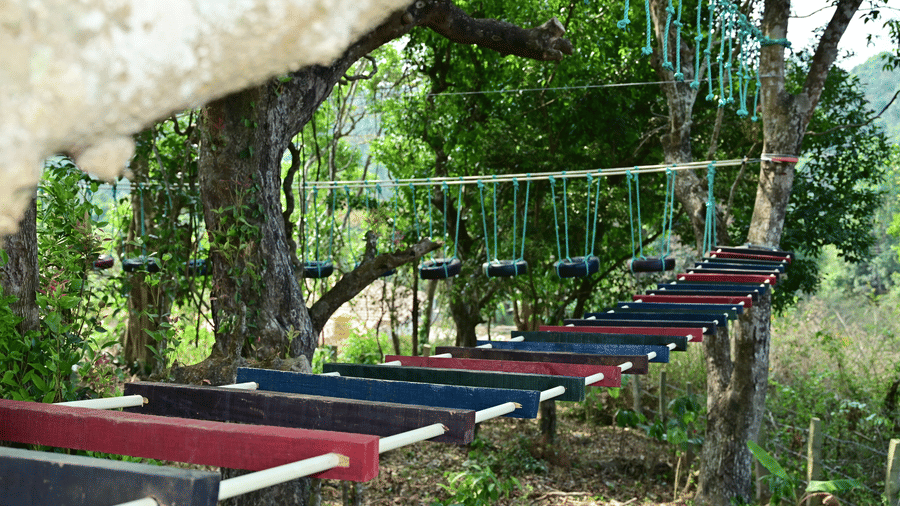 Suspended rope bridge adventure course surrounded by lush greenery.