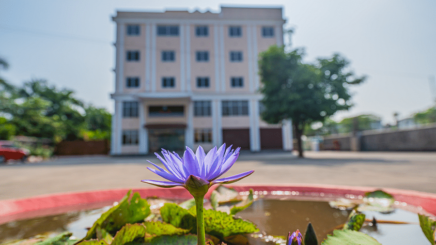 A close-up of a water lily in a small pond with the hotel facade in the background.