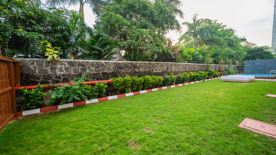 A well-maintained garden with lush green grass and decorative plants at Lotus Leaf Boutique Hotel.